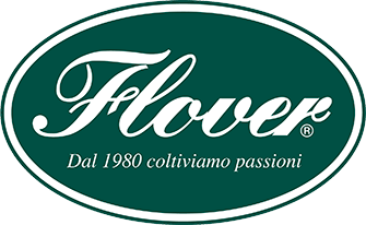 Flover-logo